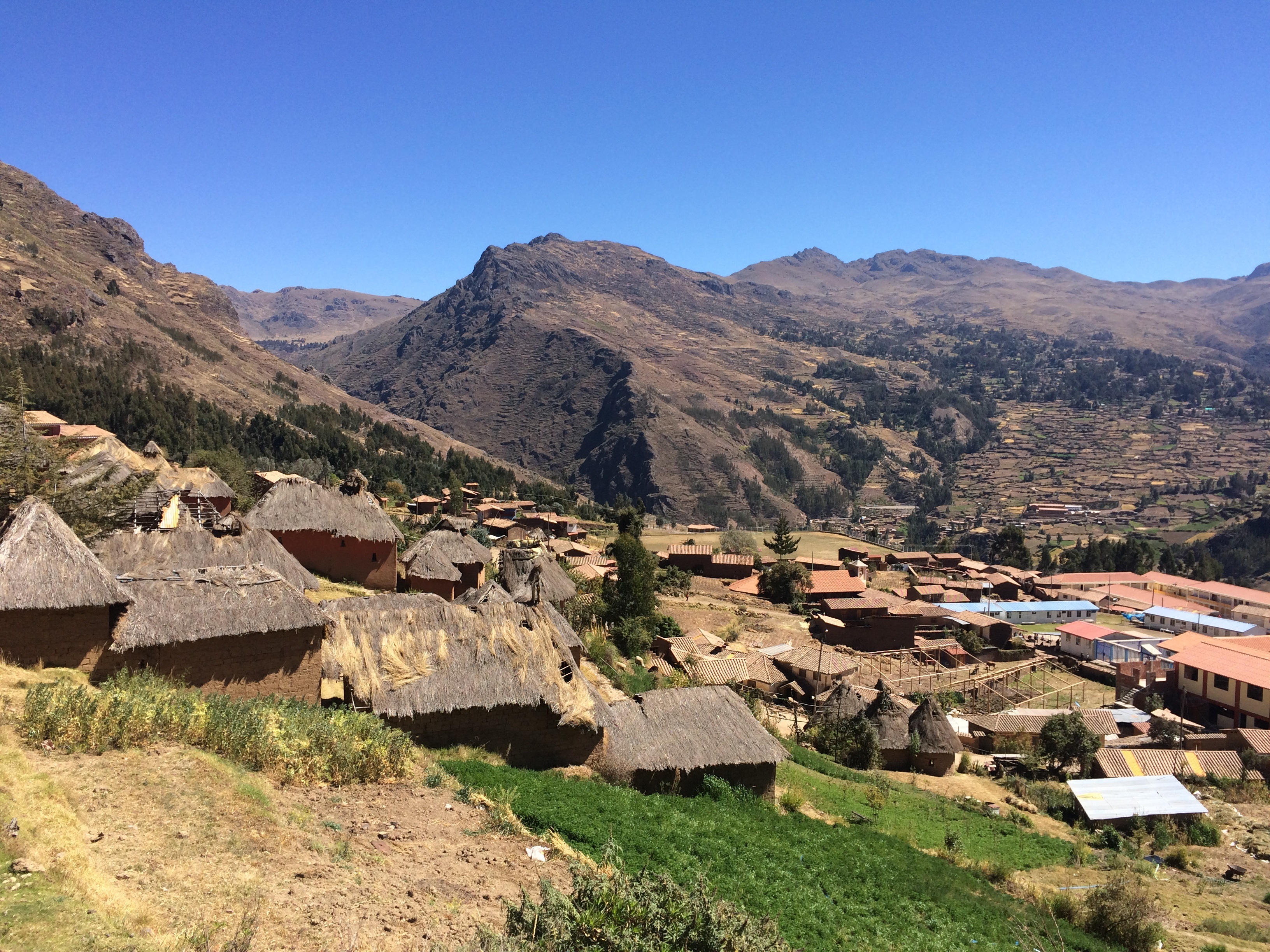 Cusco community